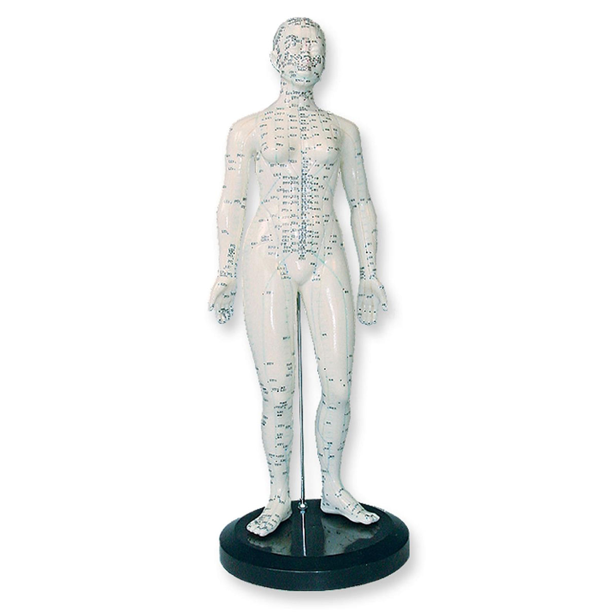 megro Akupunktur Ganzkörpermodell Frau