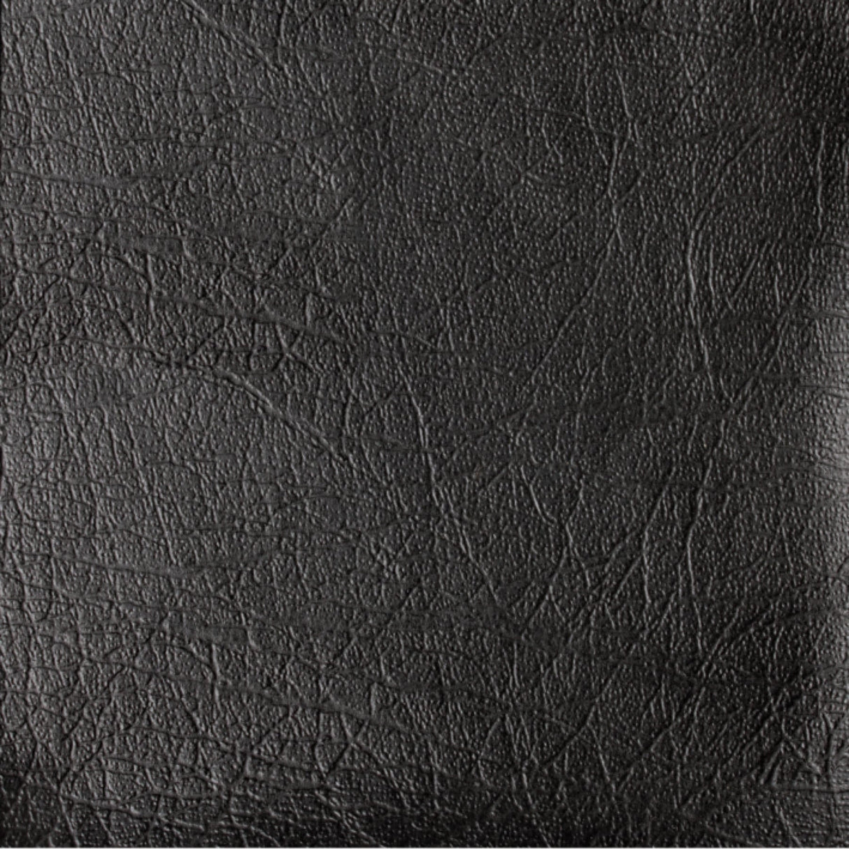 Söhngen Wandklapp-Ruheraumliege, Liegefläche 200 x 70 cm – Ansicht 15