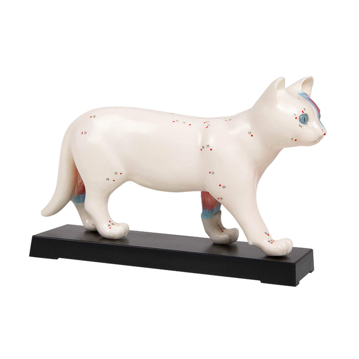 Erler-Zimmer Akupunktur Figur Modell Katze