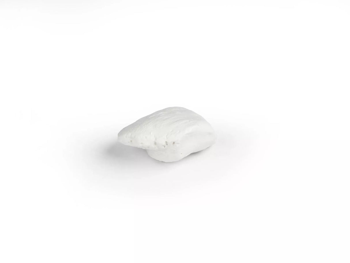 Erler-Zimmer Kniescheibe Modell Patella