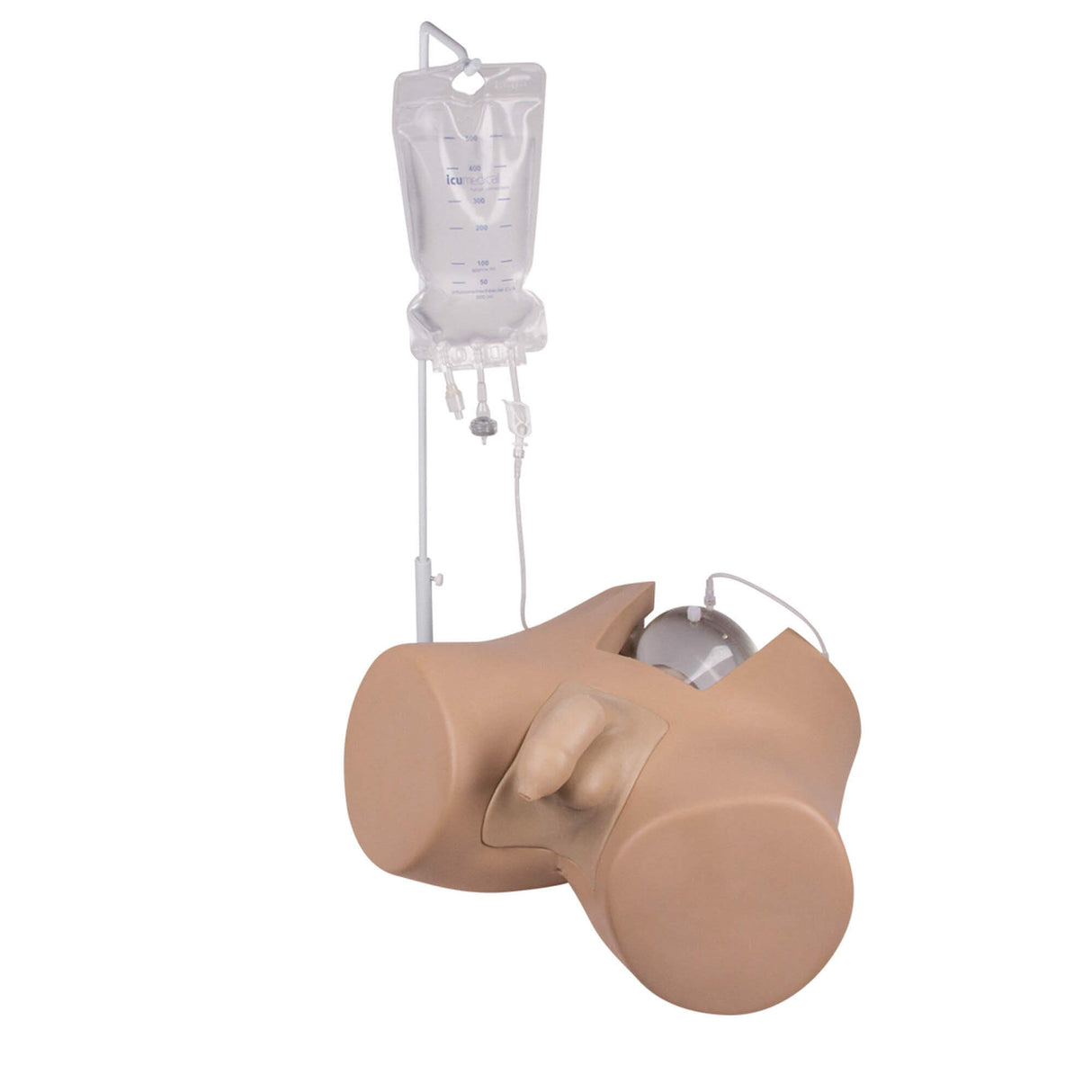 Erler-Zimmer Blasenkatheterisierungs Simulator Henri männlich