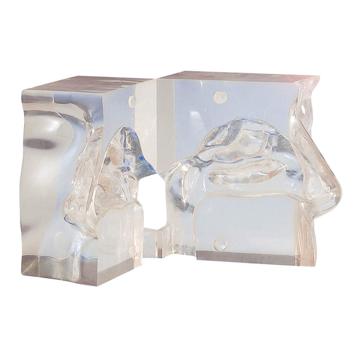 Erler-Zimmer Transparentes Nasenmodell