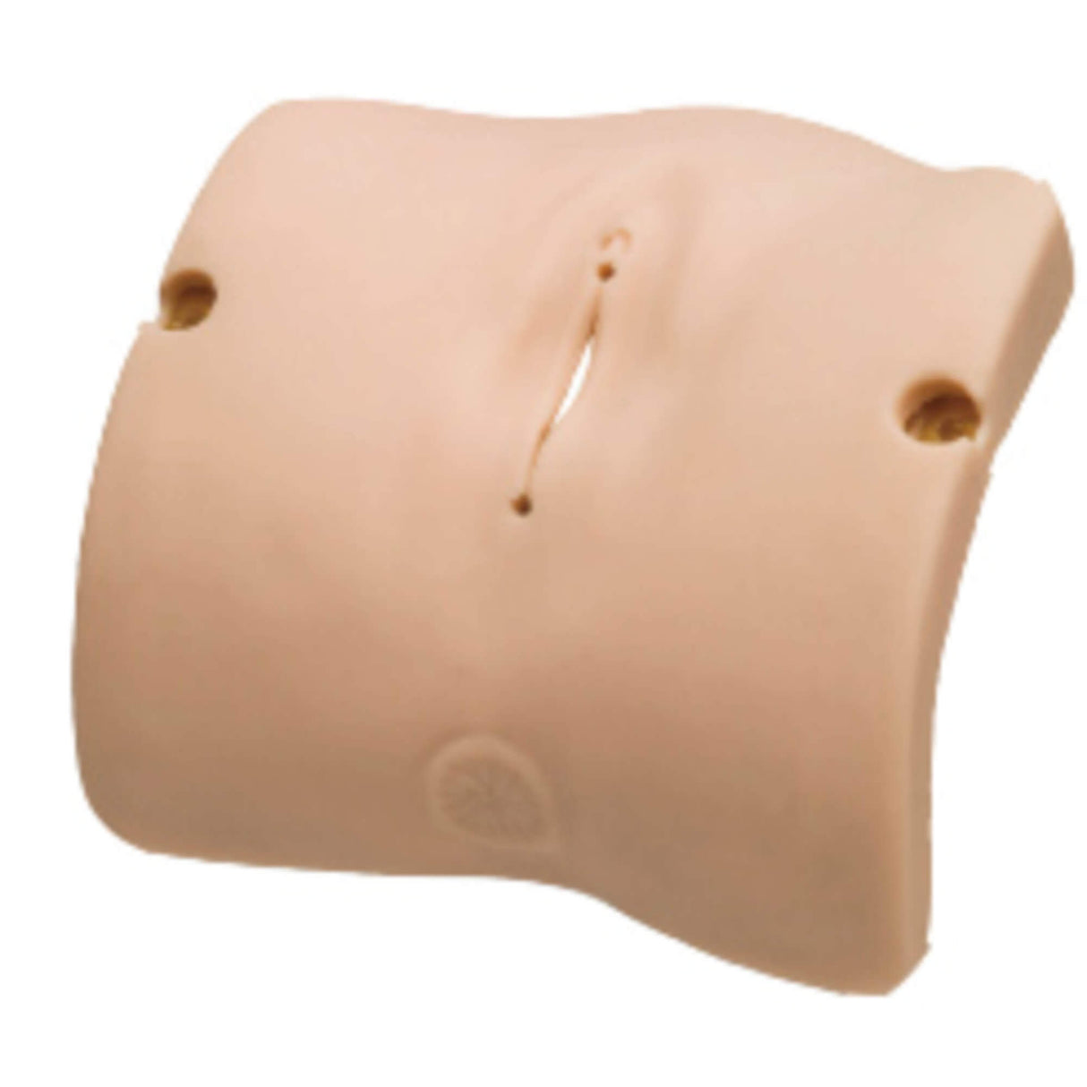 Erler-Zimmer Vulva Multipara Modell