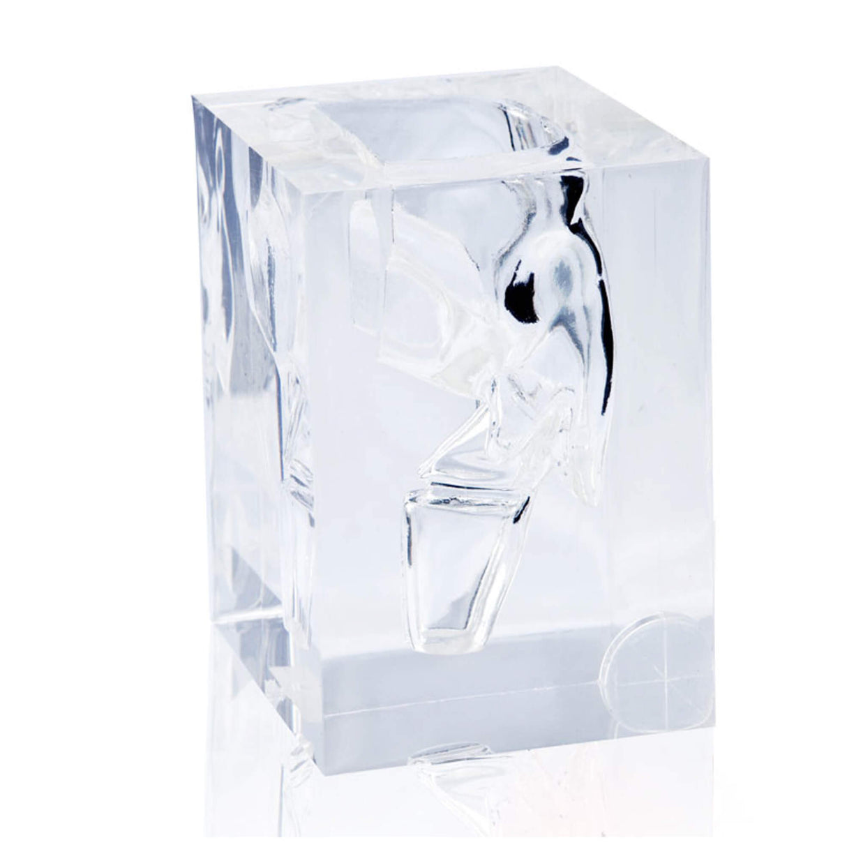 Erler-Zimmer Transparentes Laryngopharynx Modell