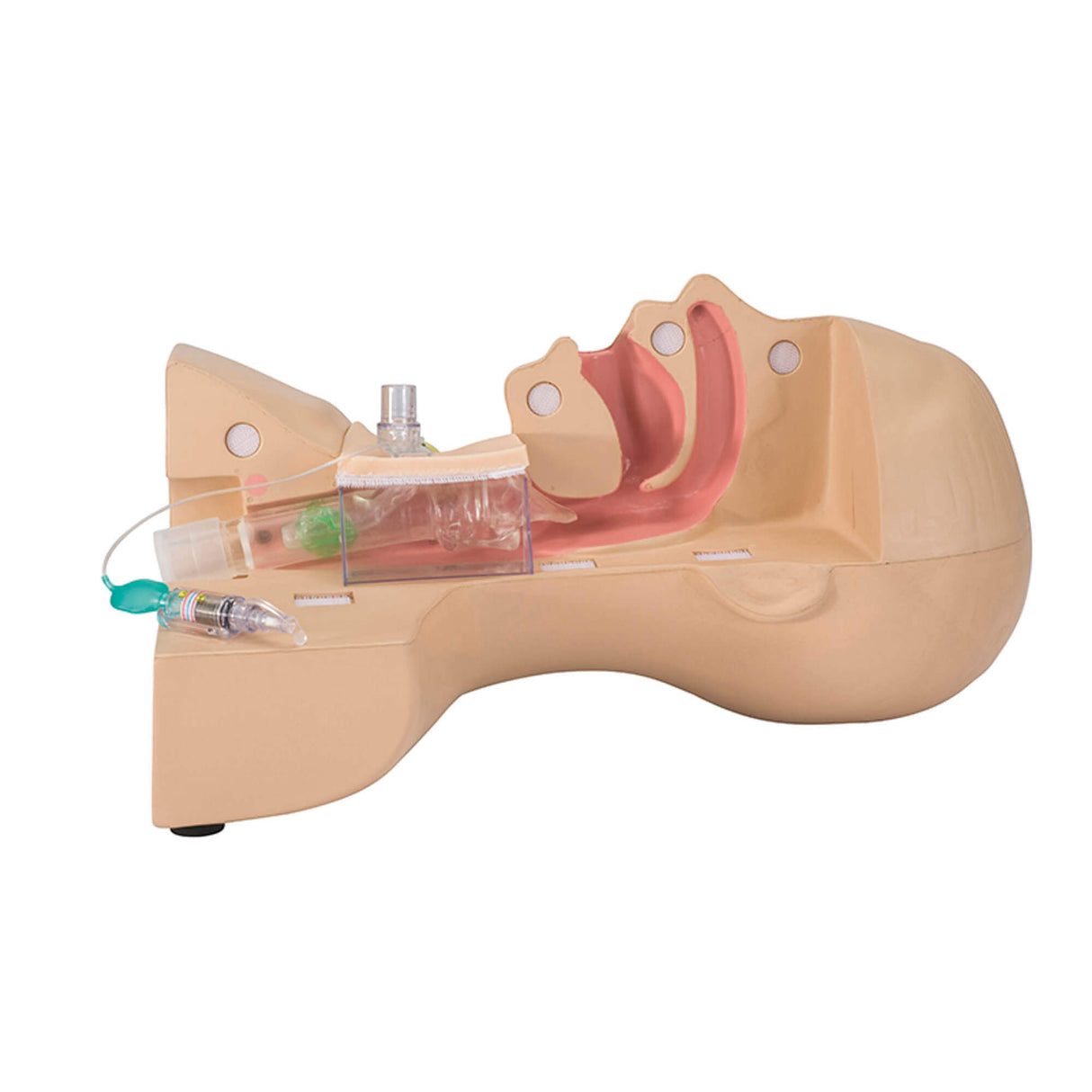 Erler-Zimmer Tracheostomie Management Simulator
