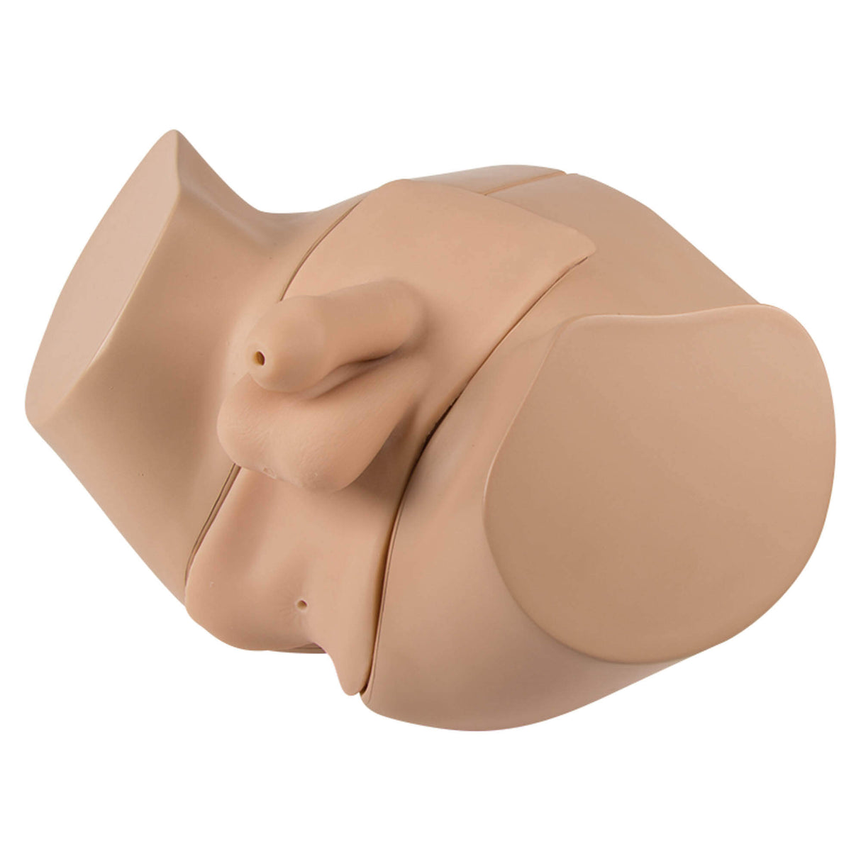 Erler-Zimmer Männliches Blasenkatheter und Einlauf Übungsmodell