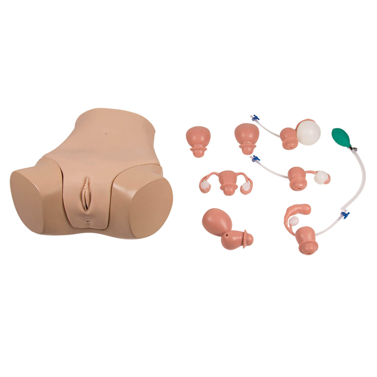 Erler-Zimmer Gynäkologischer Untersuchungssimulator