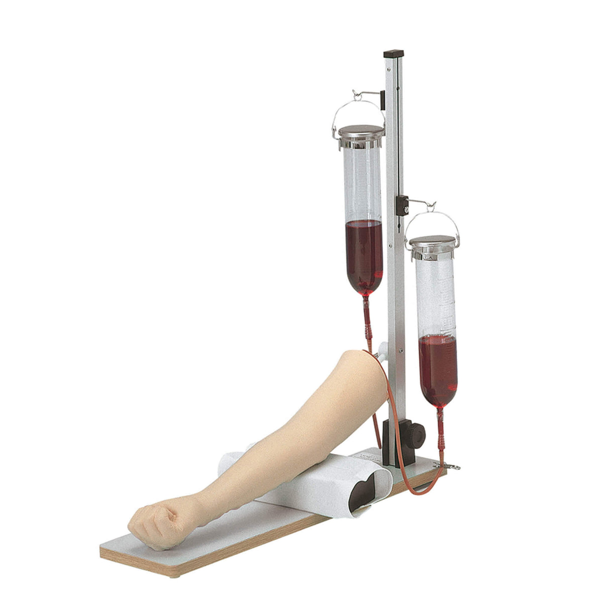 Erler-Zimmer Injektions Modell Übungsarm