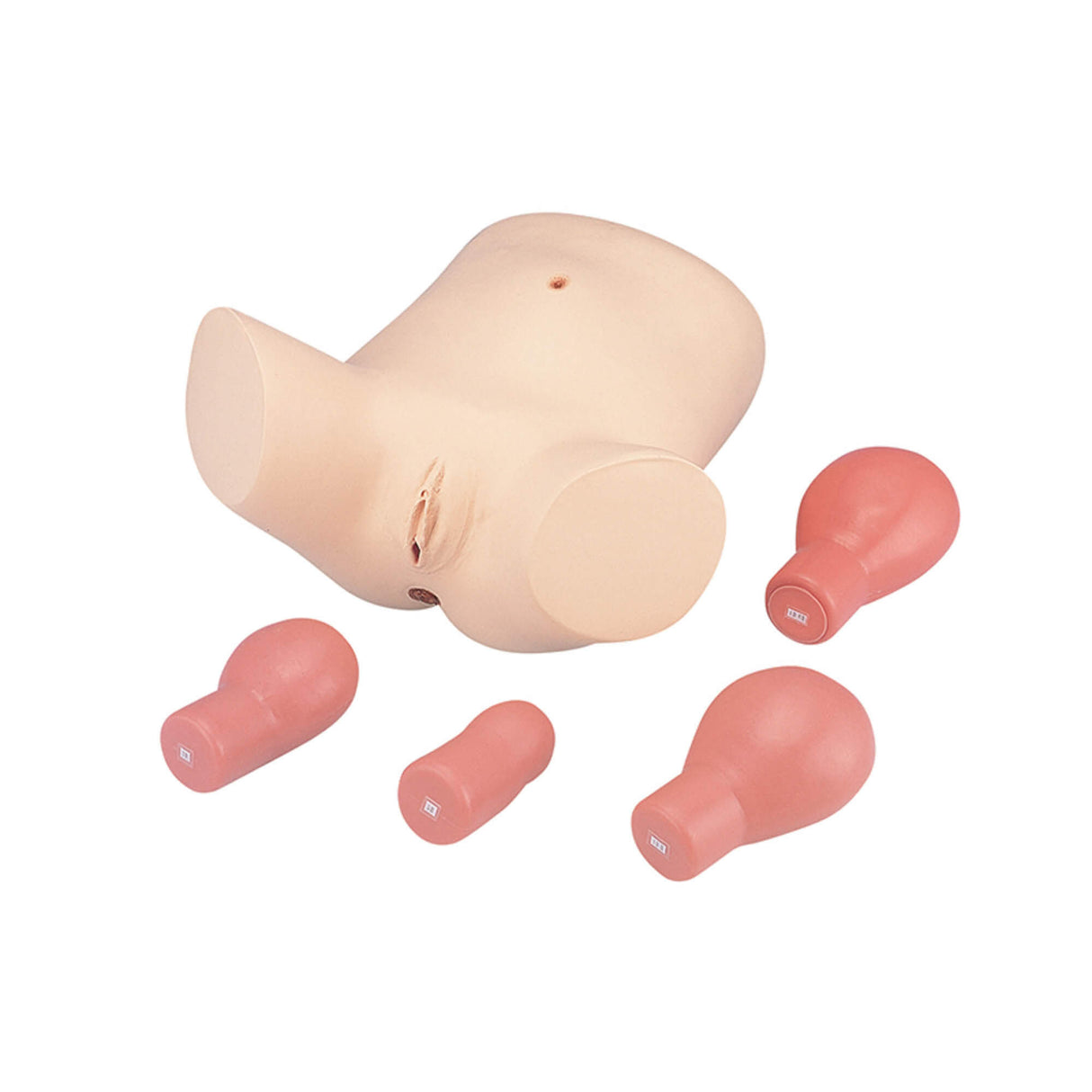 Erler-Zimmer Nachgeburtliches Untersuchungs und Pflegemodell