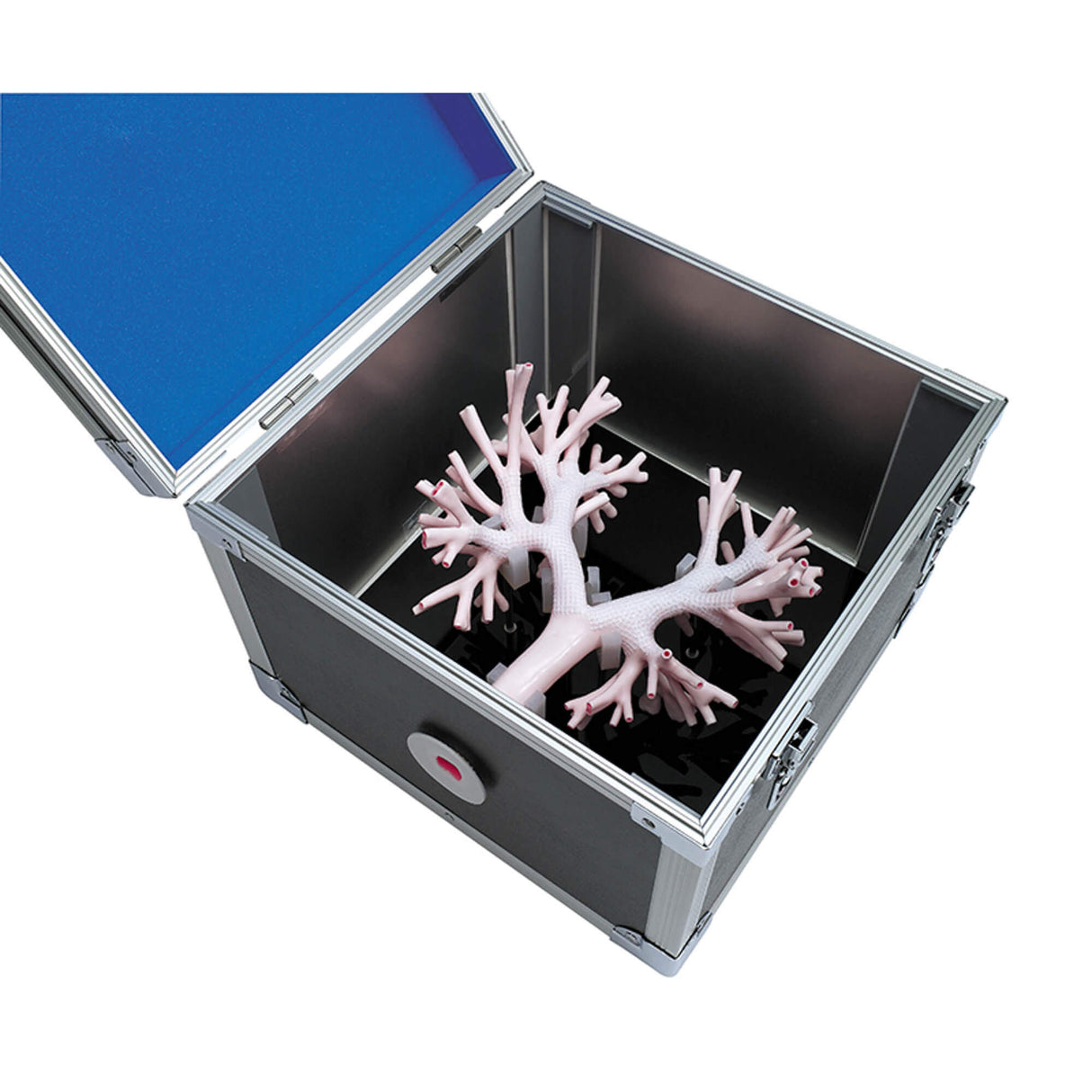 Erler-Zimmer Bronchoskopietrainer Modell