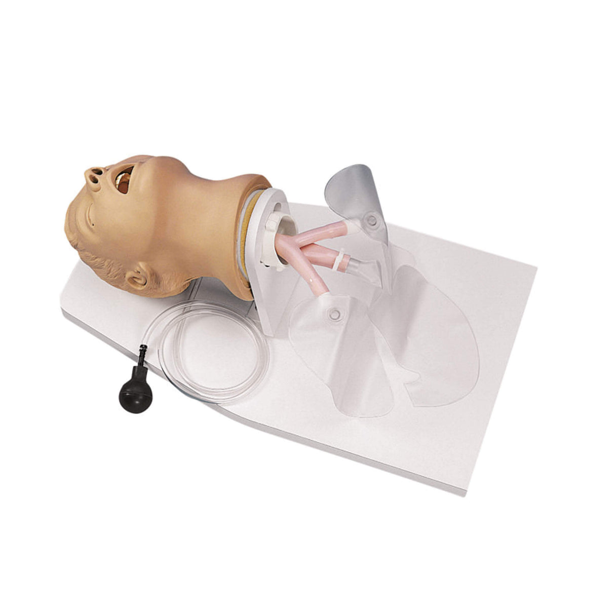 Erler-Zimmer Intubationstrainer Erwachsener Modell