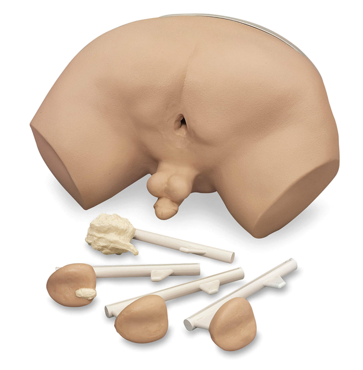 Erler-Zimmer Prostatauntersuchungs Simulator