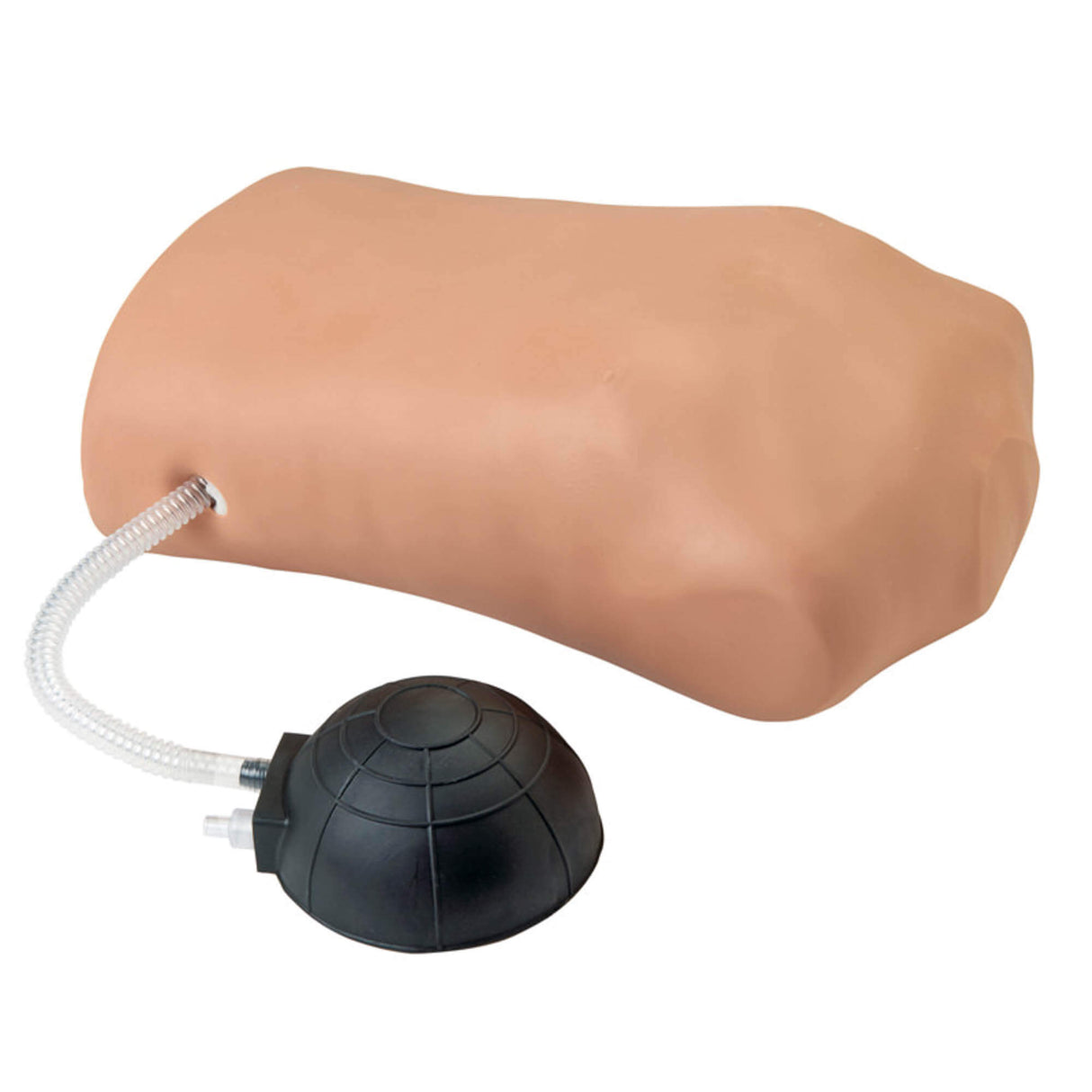 Erler-Zimmer Pneumothorax Simulator