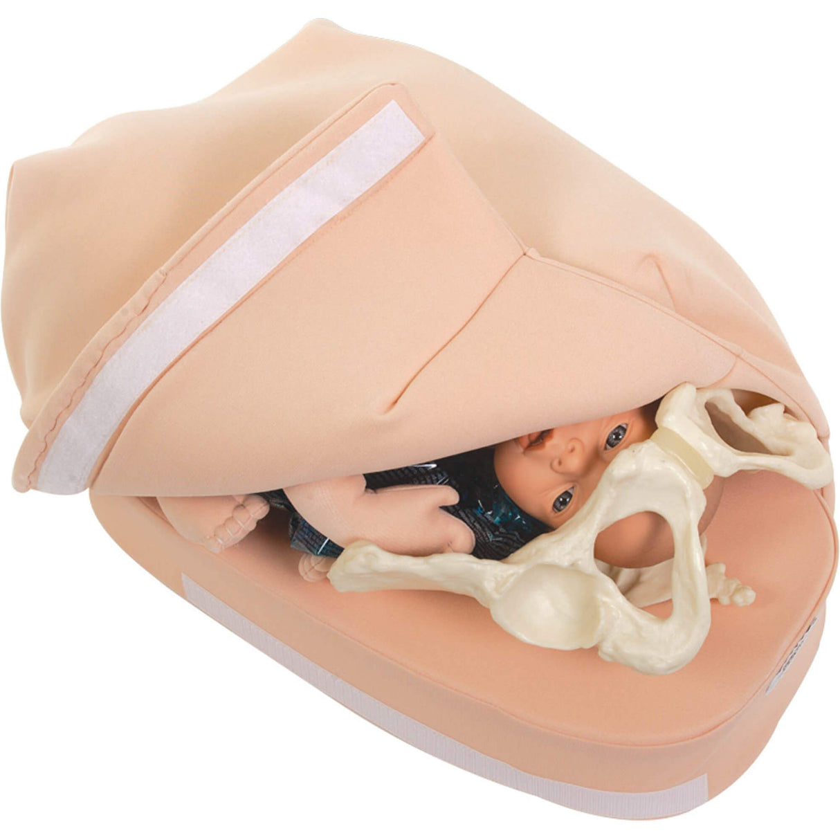 Erler-Zimmer Modellset abdominale Palpation