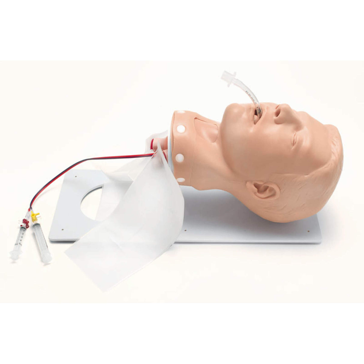 Erler-Zimmer Deluxe Airway Management Trainer mit Gestell Erwachsener