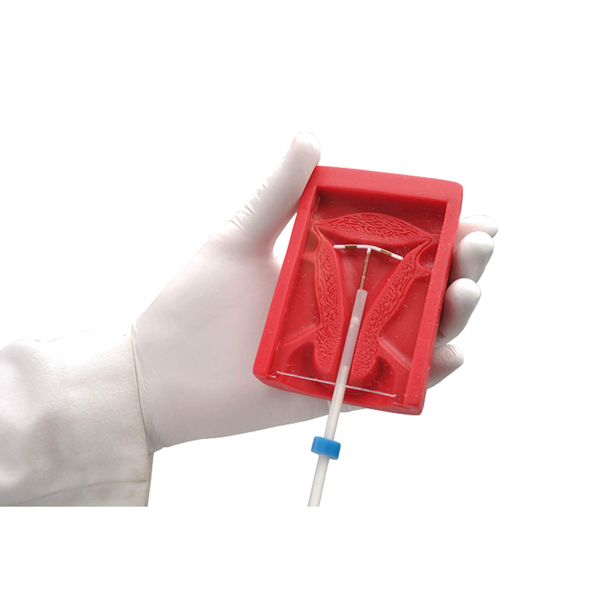 Erler-Zimmer IUP Übungsmodell