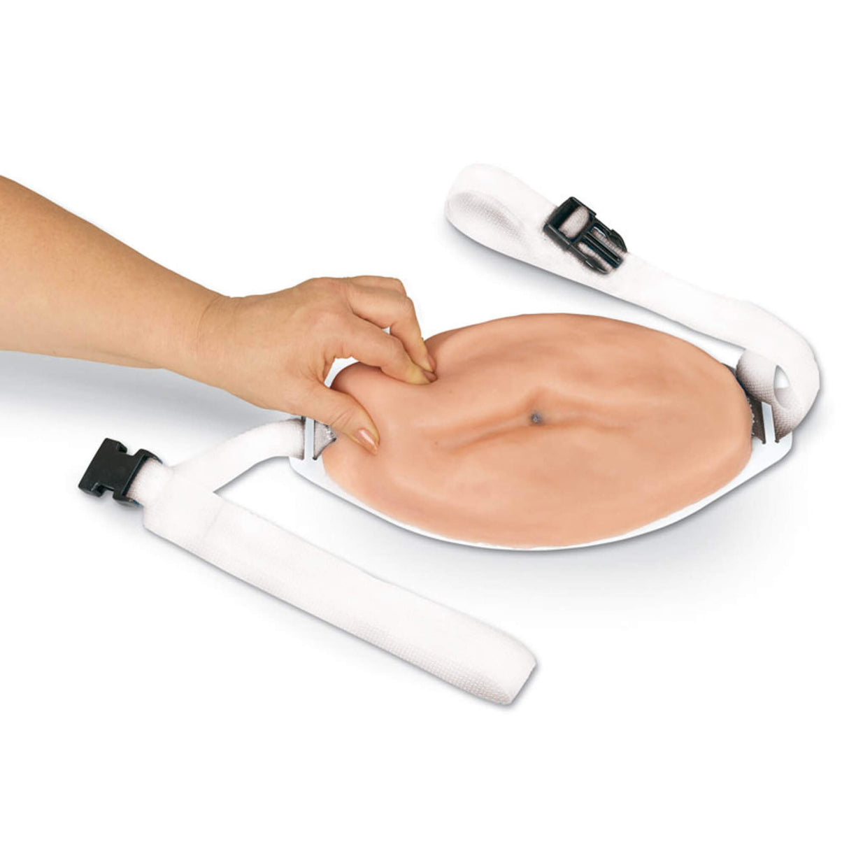 Erler-Zimmer Erweiterter Injektionsbauch Modell