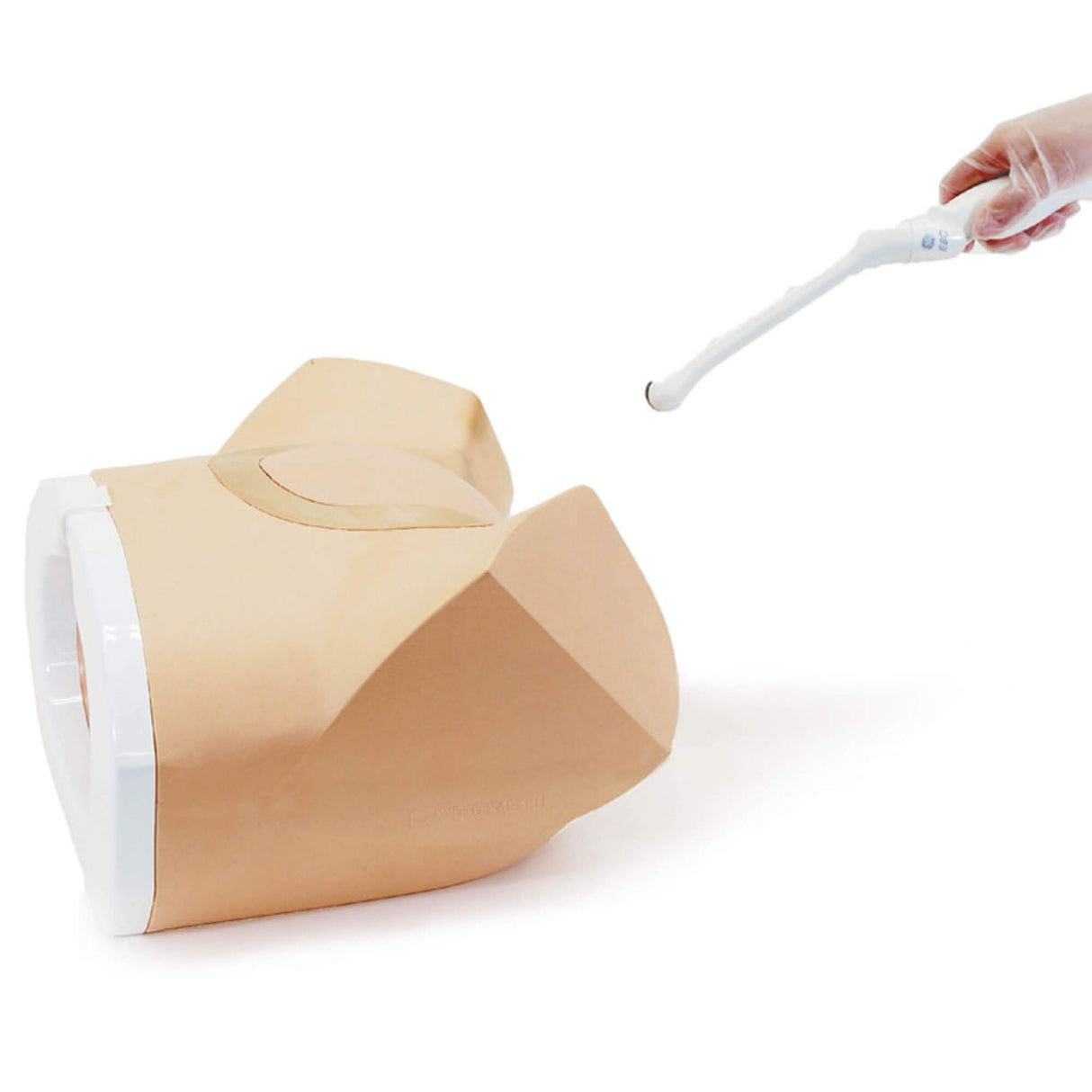 Erler-Zimmer Weibliches Ultraschall Beckenphantom