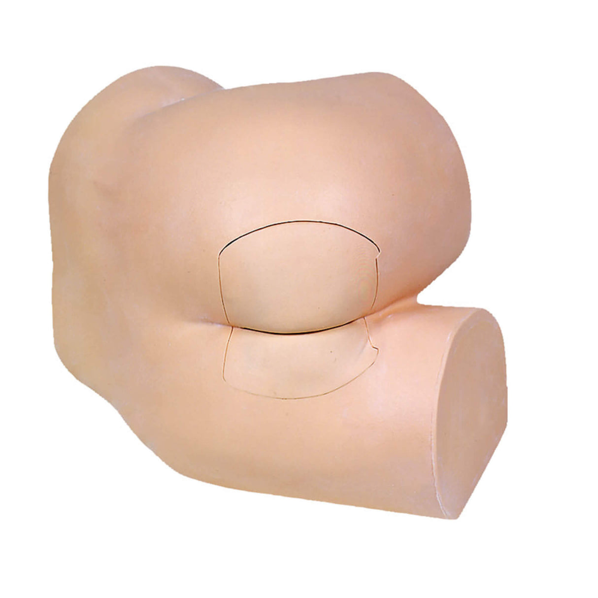 Erler-Zimmer Rektales Untersuchungsmodell