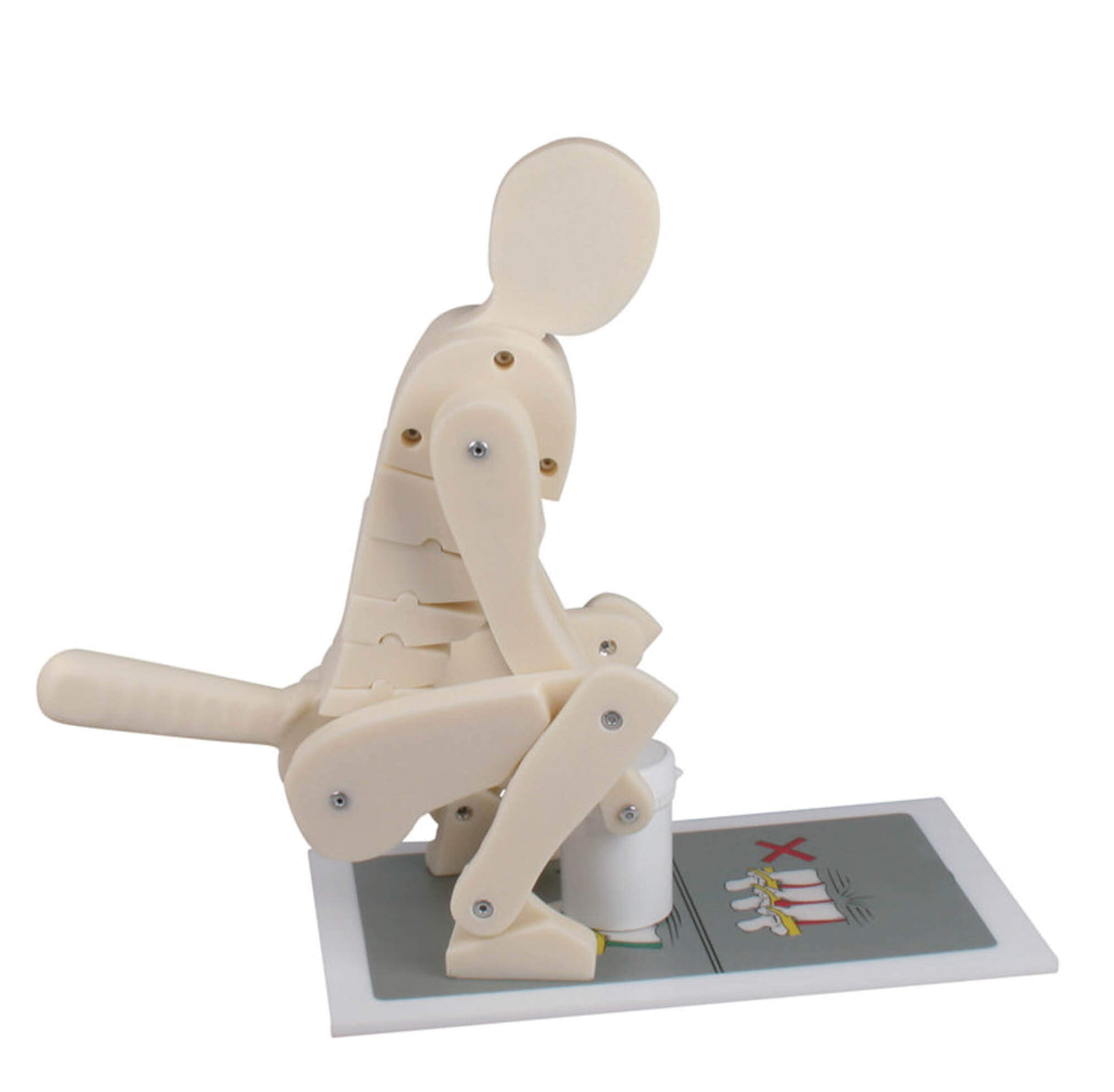 Erler-Zimmer Demonstrationsfigur Modell "richtiges und falsches Heben"