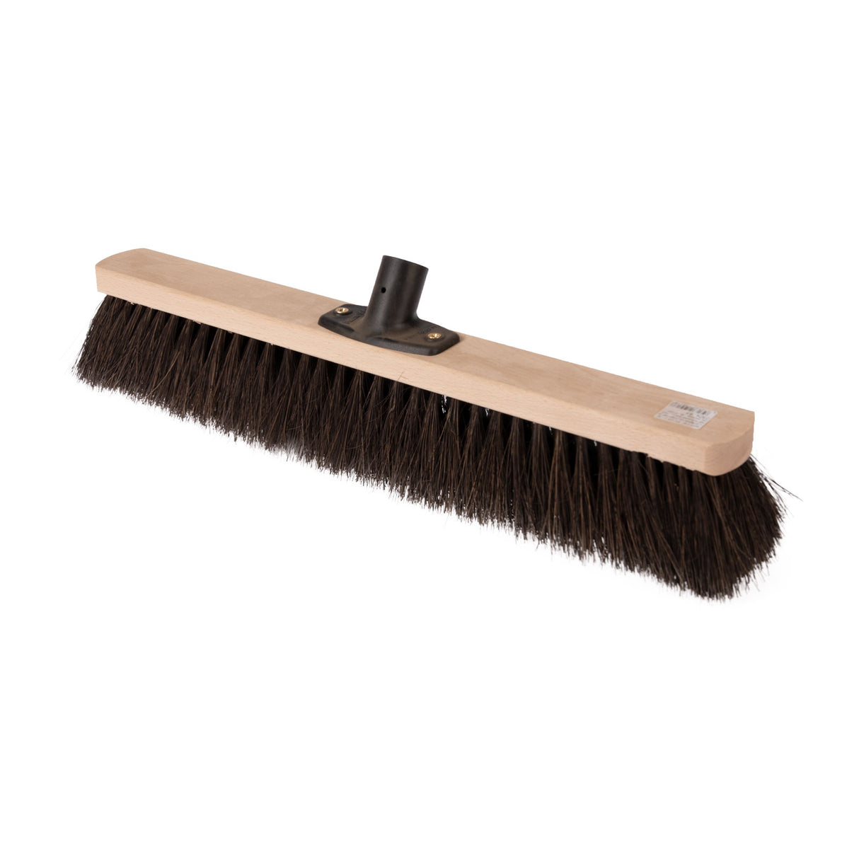 Nölle Saalbesen Arenga