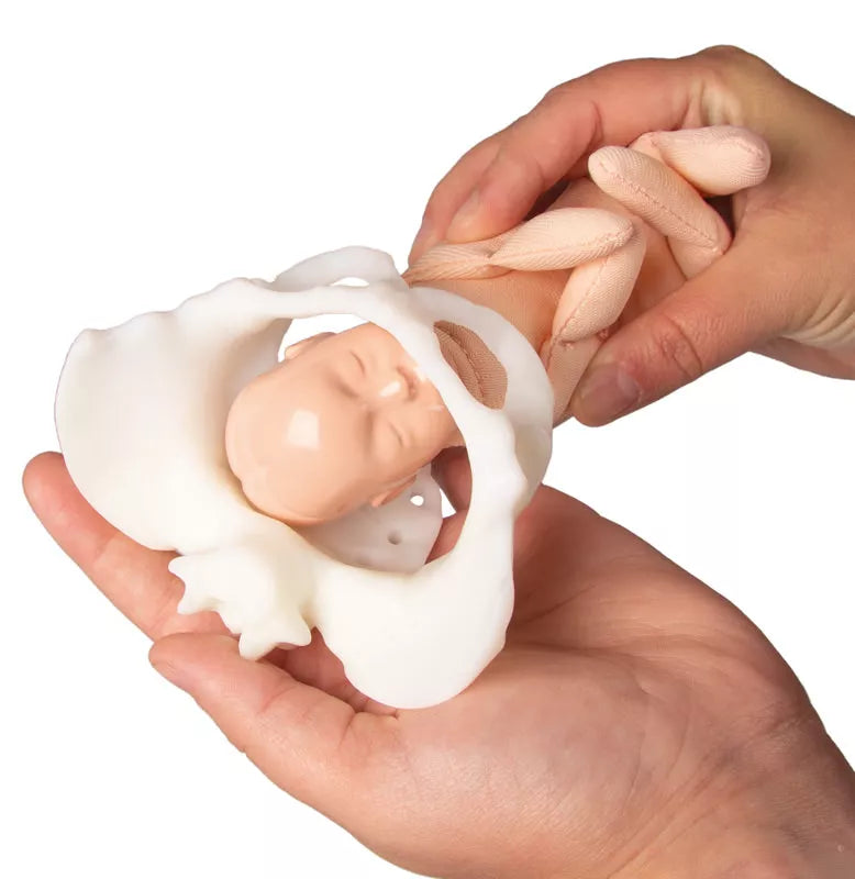 Erler-Zimmer Erler Zimmer Mini Becken mit Geburtspuppe