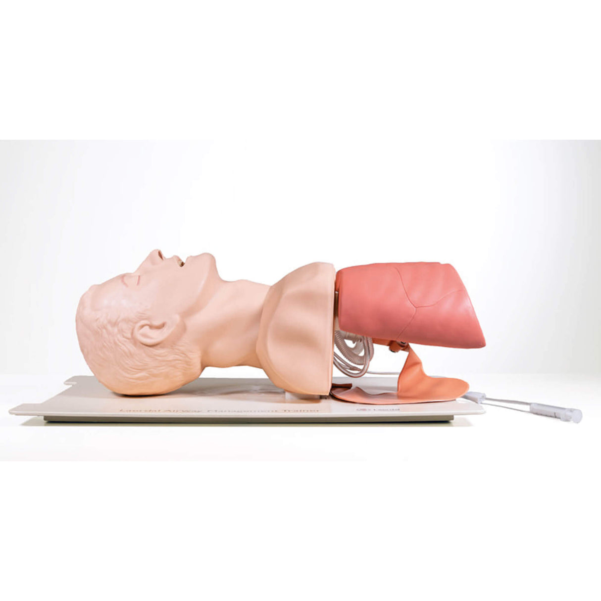Erler-Zimmer Airway Management Trainer