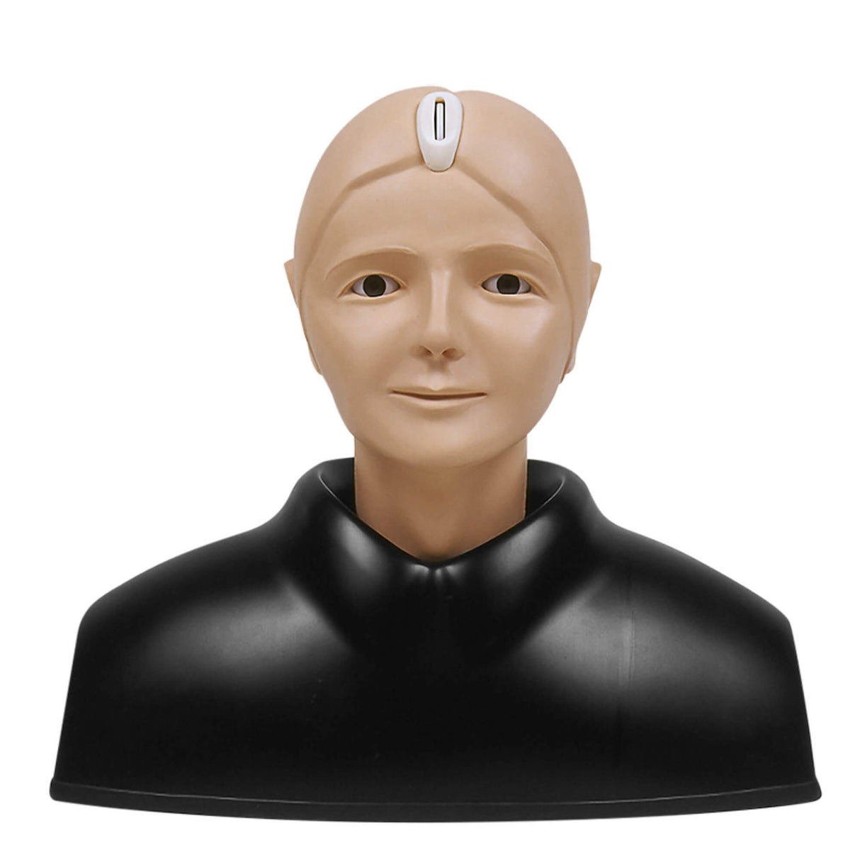 Erler-Zimmer Augen-Untersuchungs-Simulator