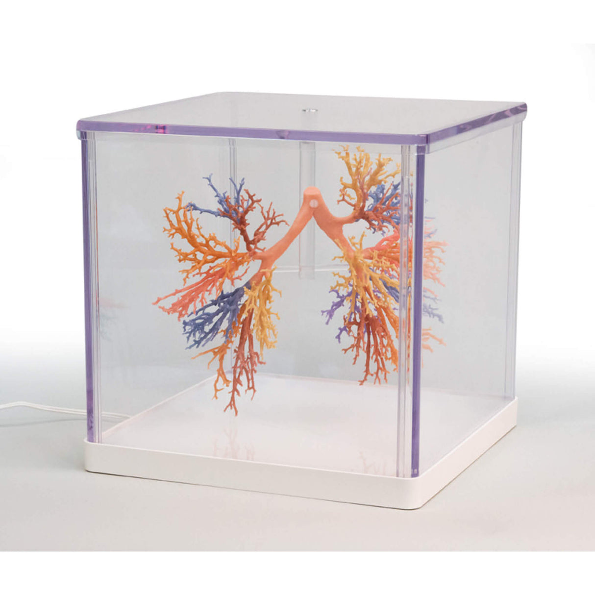 Erler-Zimmer Bronchialsystem