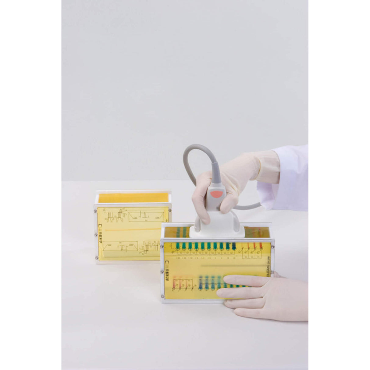 Erler-Zimmer Brust-Phantom