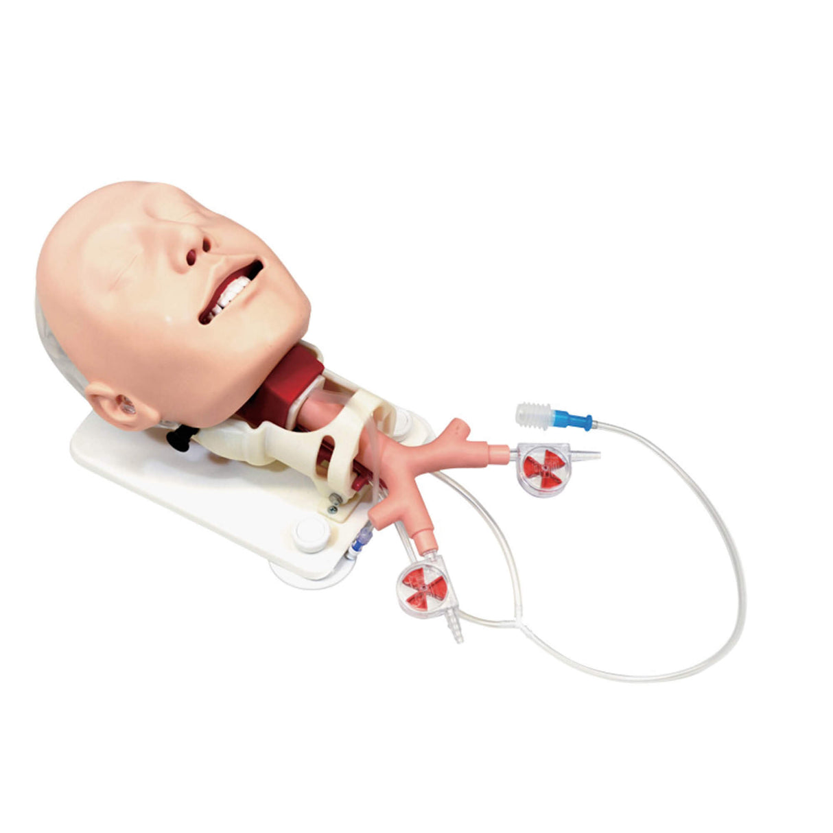 Erler-Zimmer Demonstrationsmodell schwieriges Atemwegsmanagement