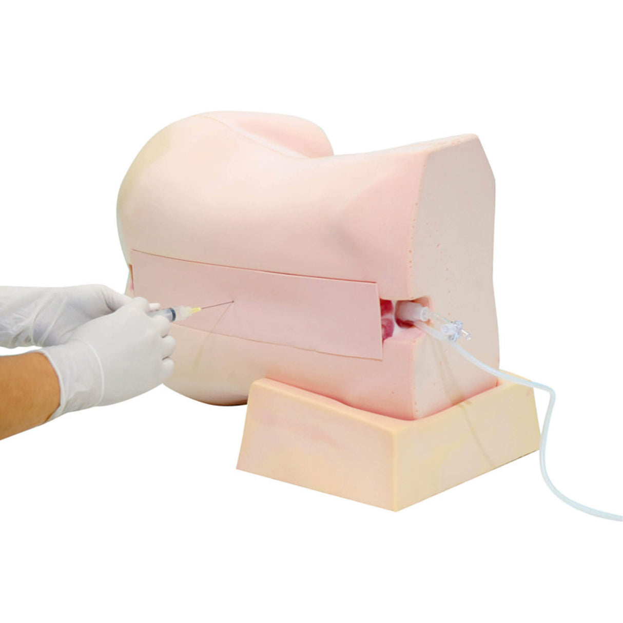 Erler-Zimmer Epiduralanästhesie Simulator