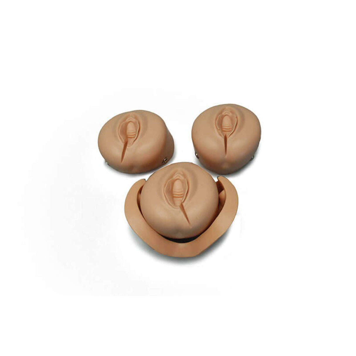 Erler-Zimmer Episiotomie-Übungsmodul