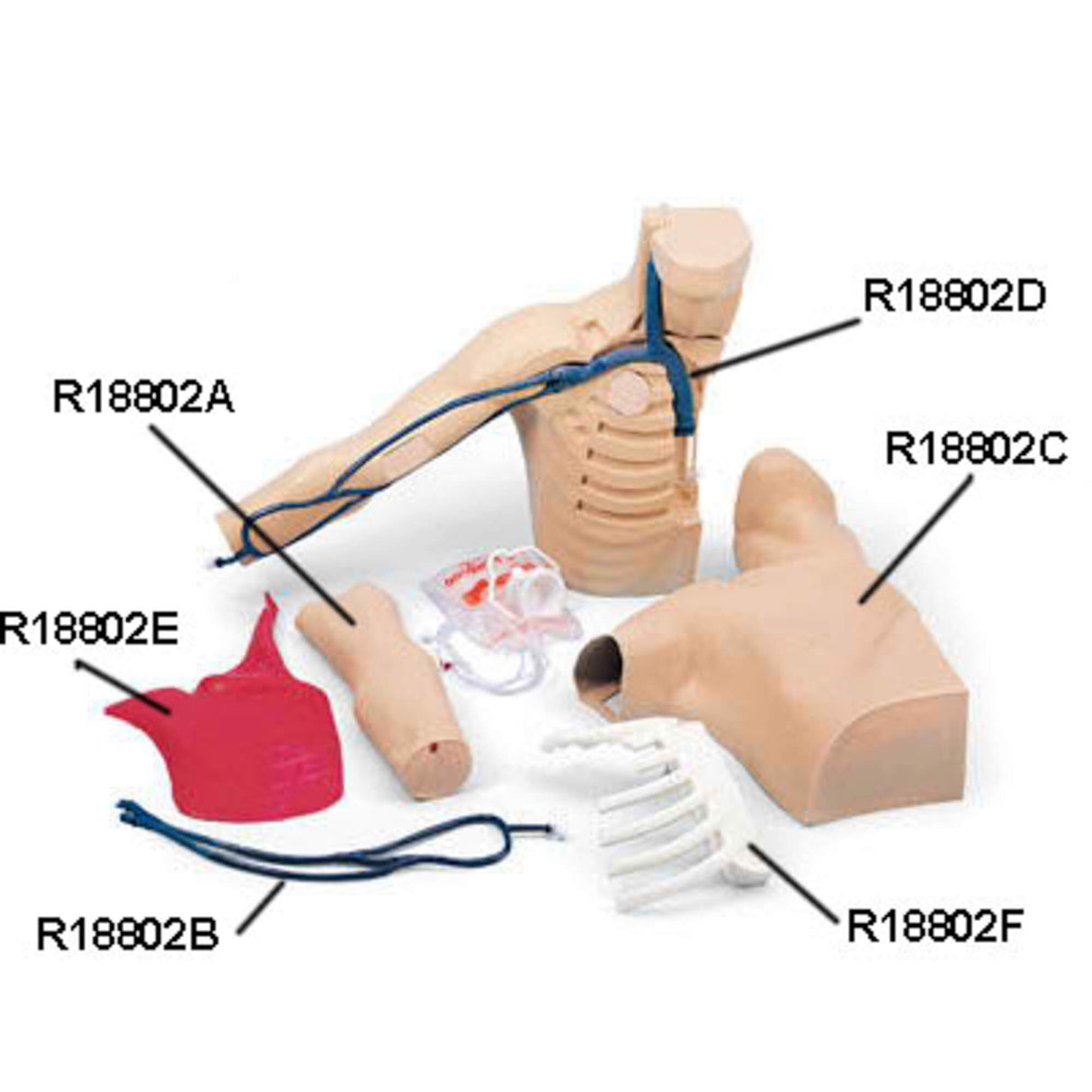 Erler-Zimmer Ersatz-Körperhaut für R18802