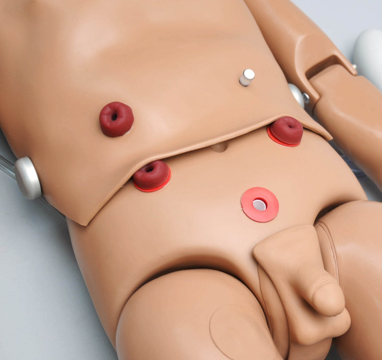 Erler-Zimmer Externe Stomata mit internen Reservoirs für R17720