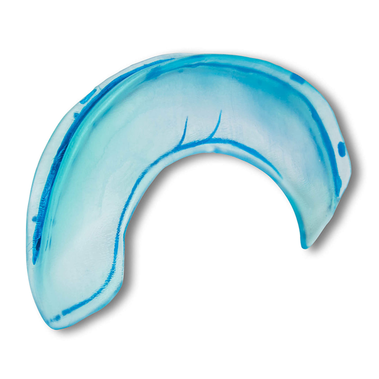 Erler-Zimmer Falx cerebri Modell