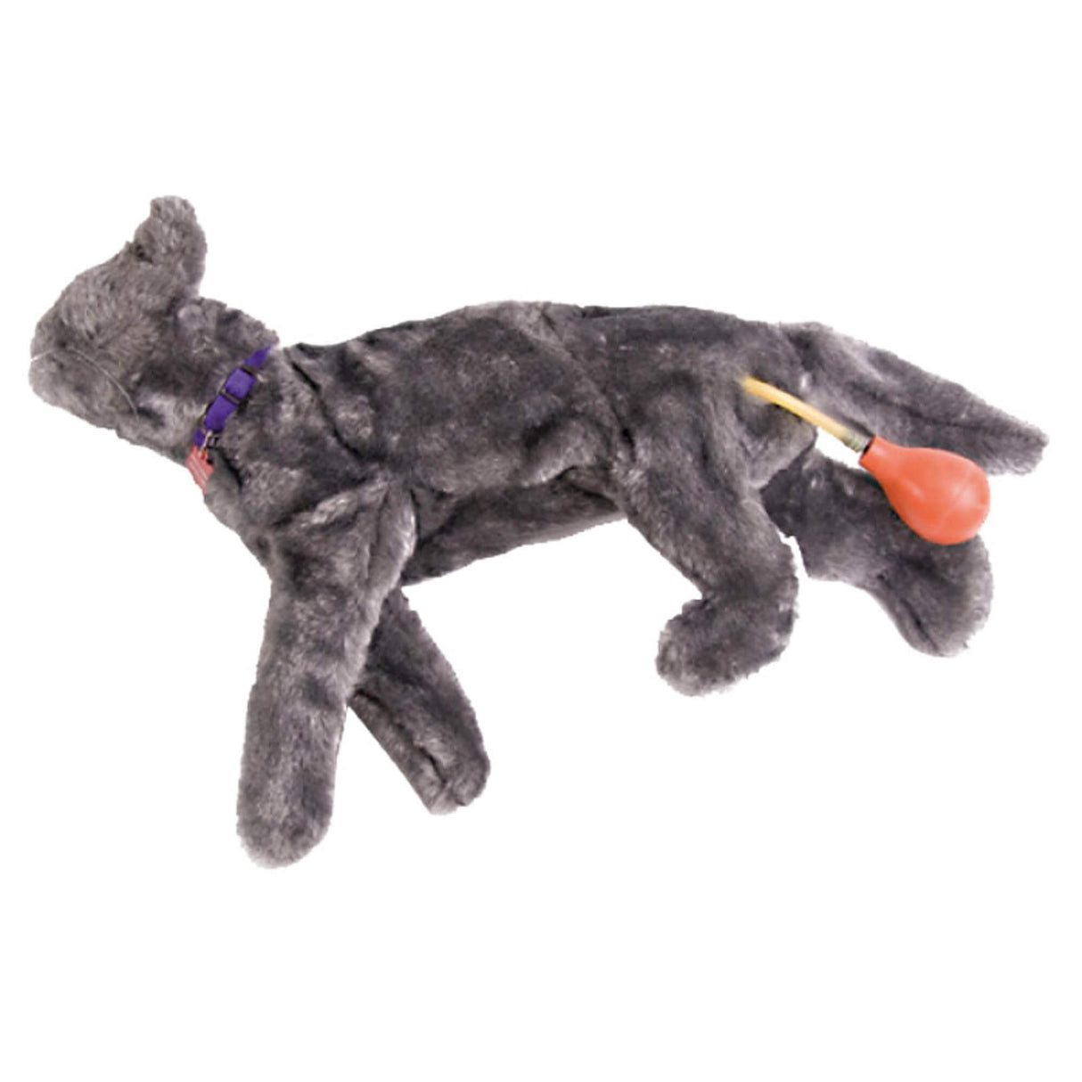 Erler-Zimmer Fluffy Katzen-HLW-Übungsmodell