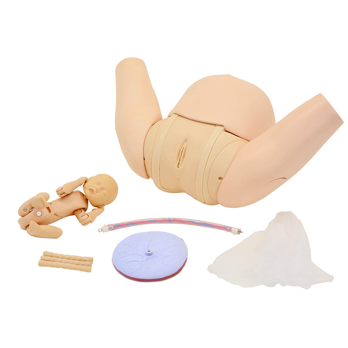 Erler-Zimmer Geburtshilfe - Simulator