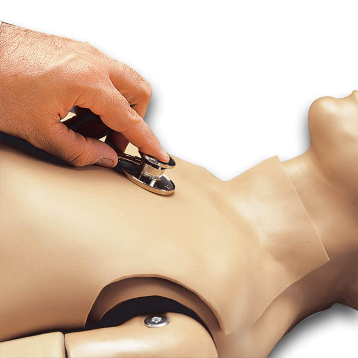 Erler-Zimmer Herz- und Lungentöne für R17710