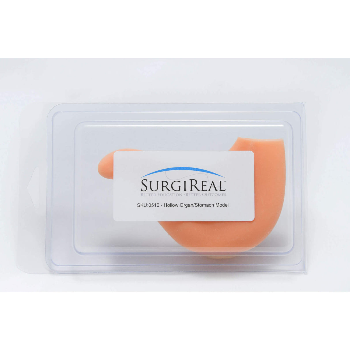 Erler-Zimmer Hohlorgan / Magen-Modell