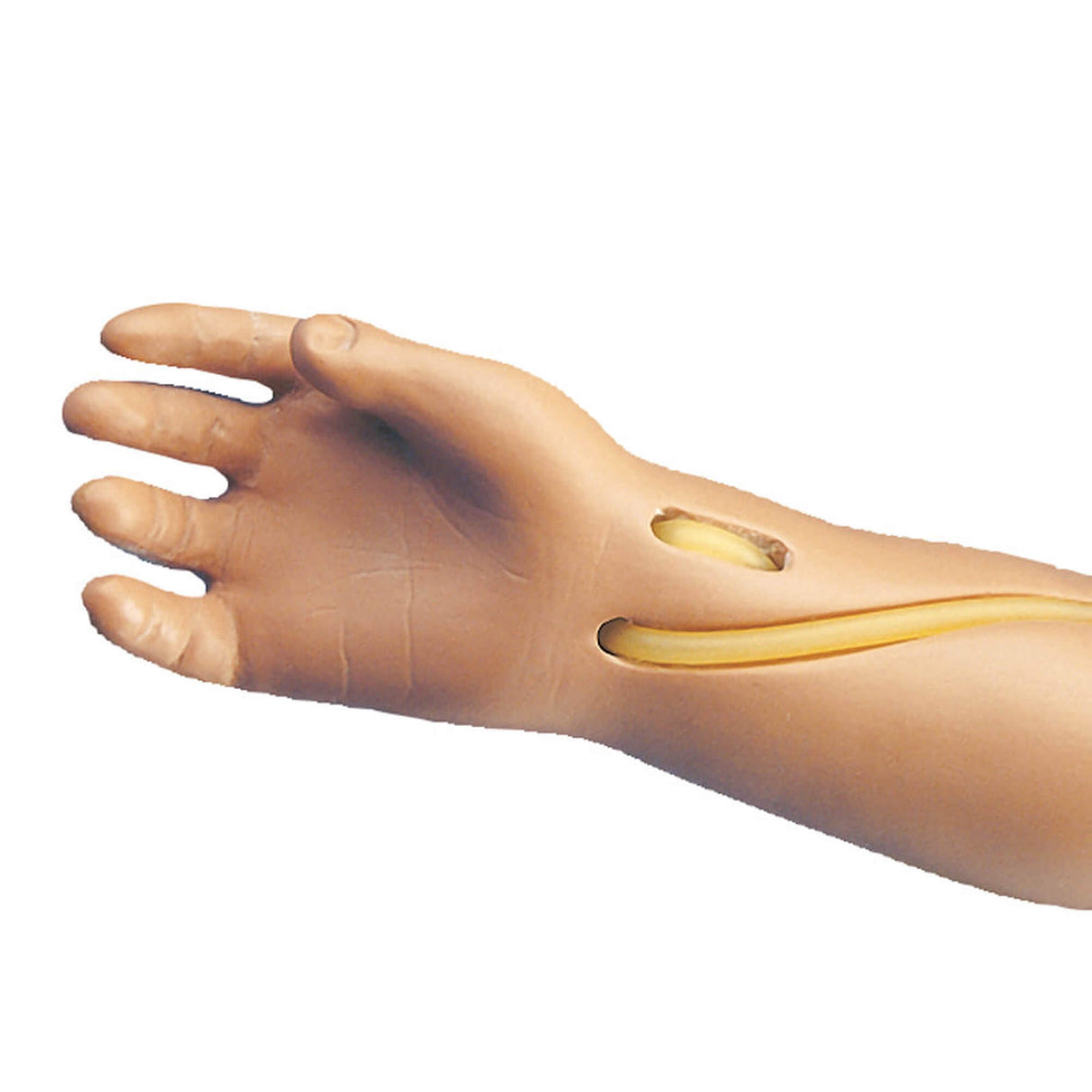 Erler-Zimmer Injektions - Übungsarm für R17700