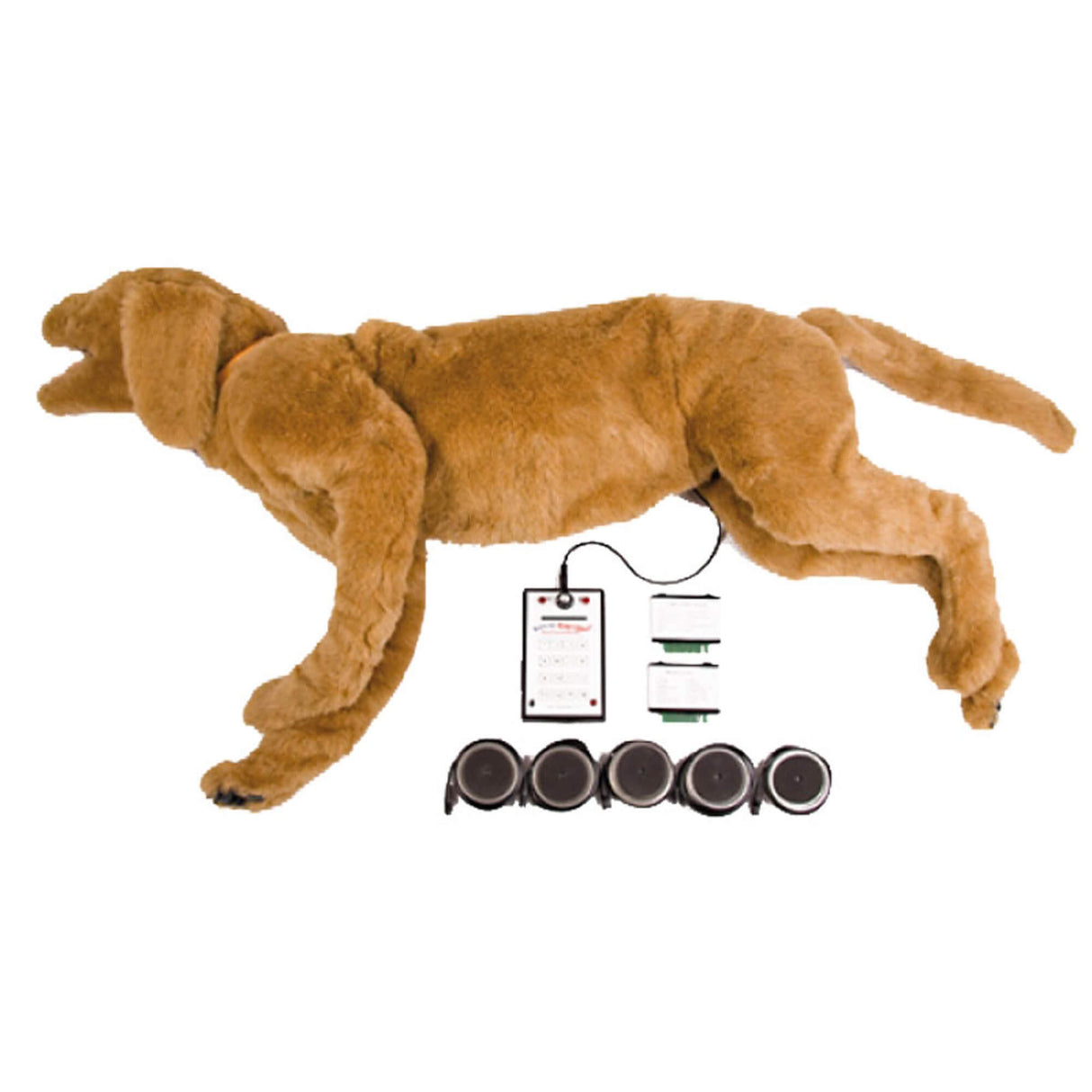 Erler-Zimmer K9 Atmungs- und Herztonsimulator (AHS) Goldie