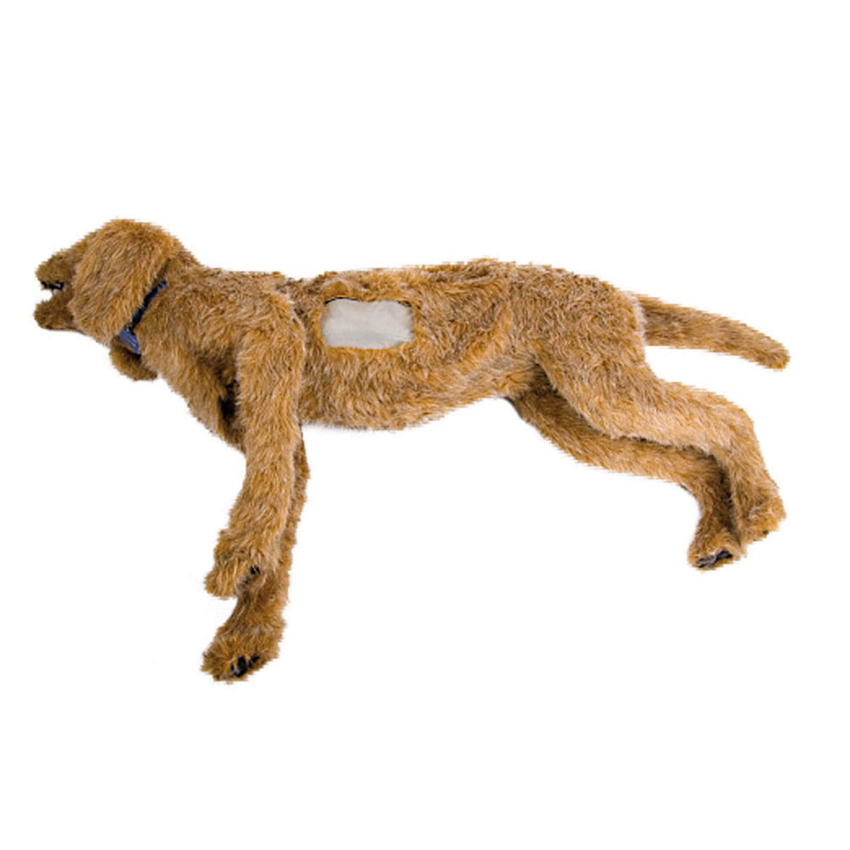 Erler-Zimmer K-9 Thorakozentese