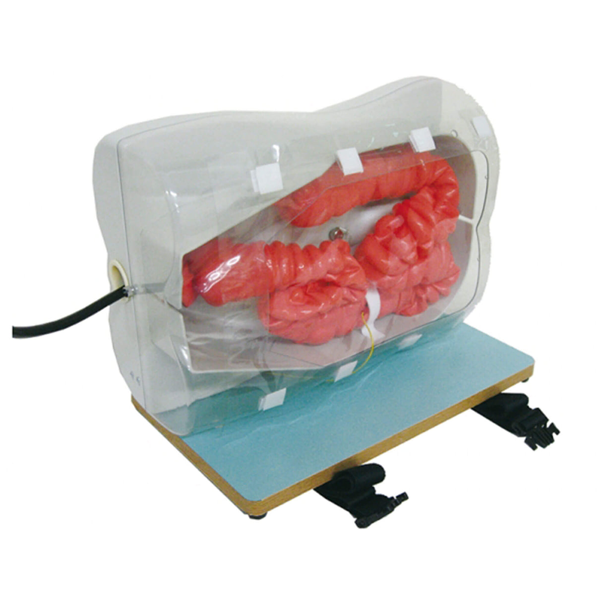 Erler-Zimmer Koloskopie-Simulator