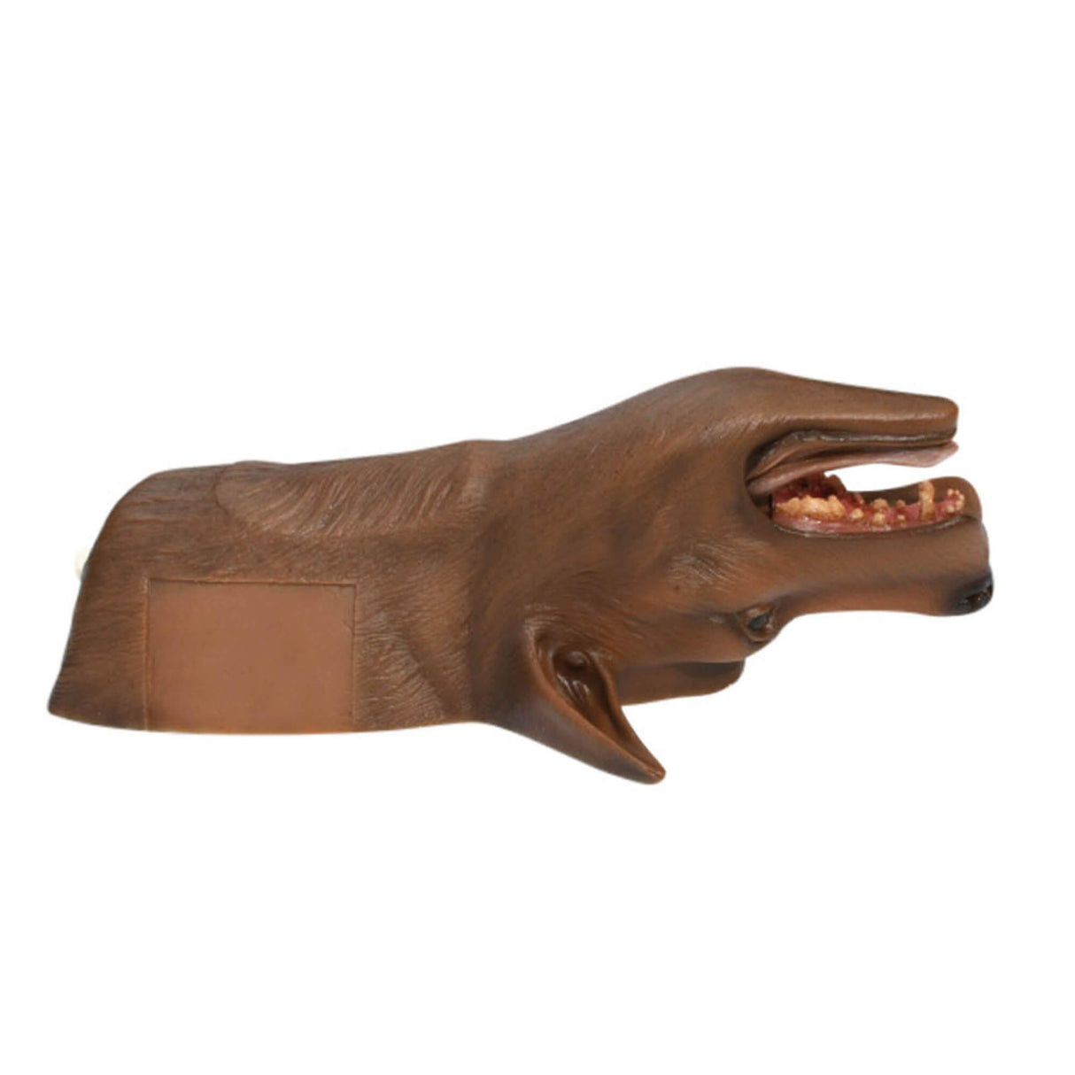 Erler-Zimmer Louie K9 Tracheotomie Modell