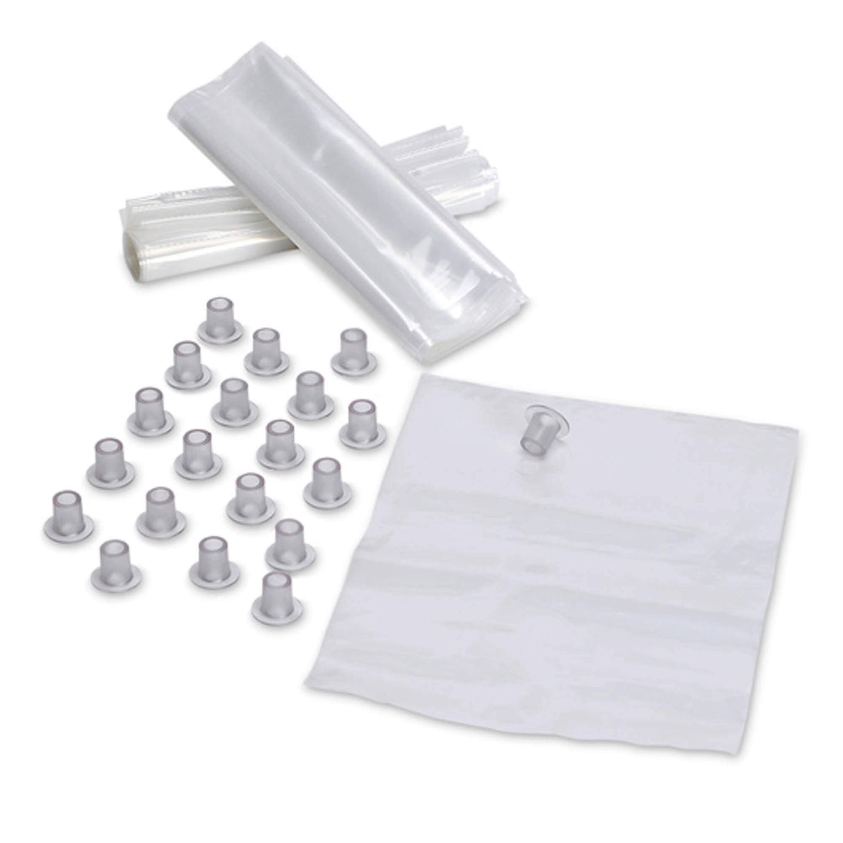 Erler-Zimmer Lungen (ohne Luftwege) für R12100