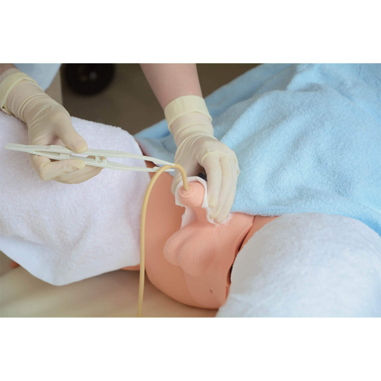 Erler-Zimmer Männliches Genital für R16228