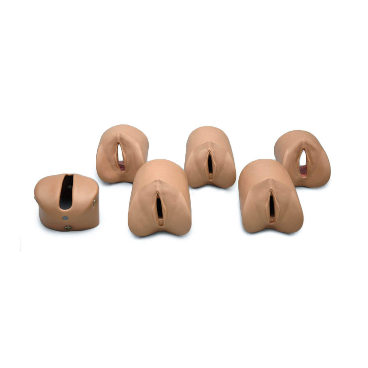 Erler-Zimmer Modul Geburtsfortschritt