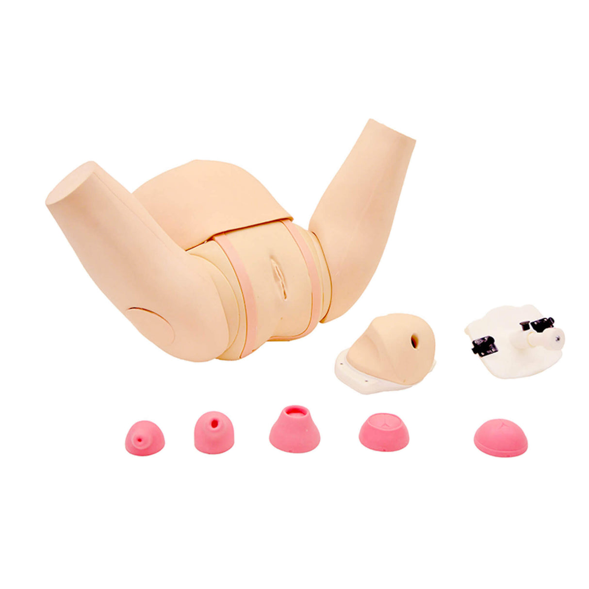 Erler-Zimmer Muttermund - Untersuchungs - Simulator