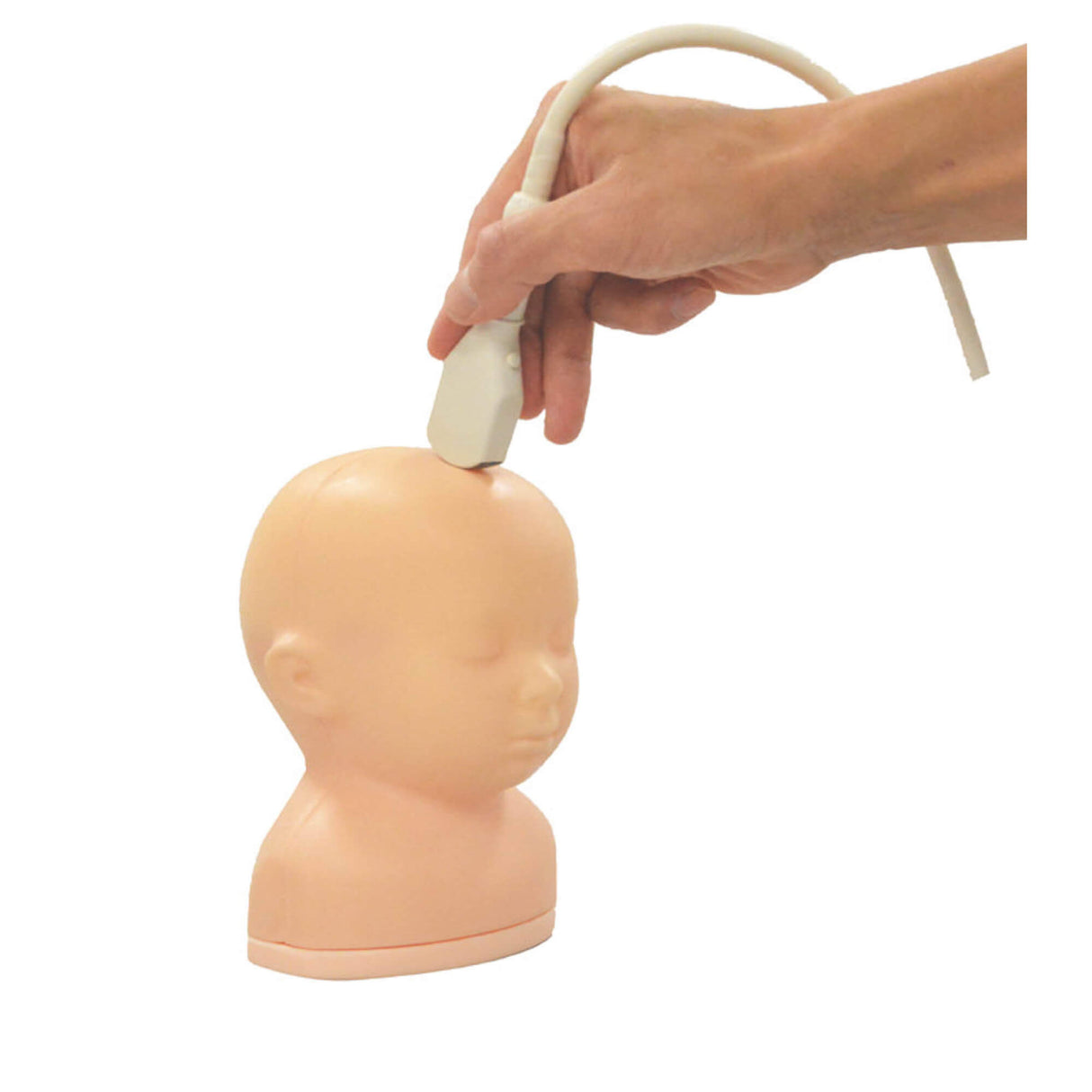 Erler-Zimmer Neonatales Ultraschall-Übungsphantom Kopf